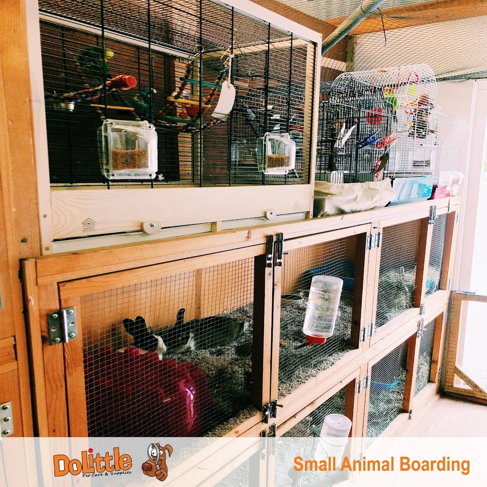 Small Animal Boarding Surrey - Sutton pet otel