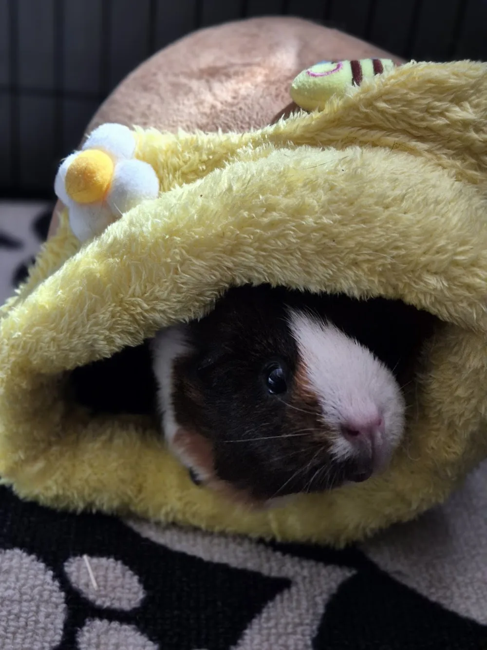 The Piggy Retreat - Sutton pet otel görseli 3