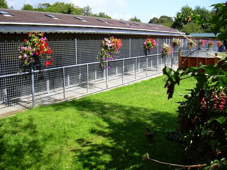 Bishopston Kennels & Kittle Cattery - Swansea pet otel