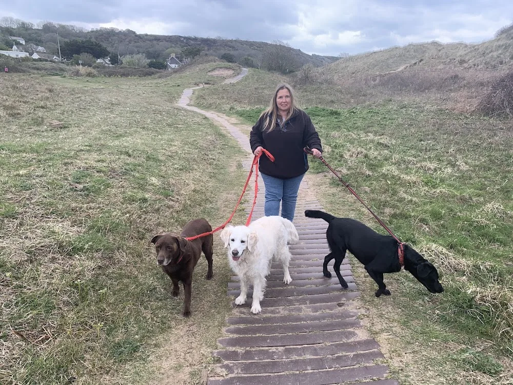 Gower Dog Retreat -Dog Home Boarding - Swansea pet otel görseli 3
