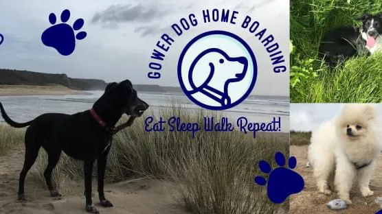 Gower Home Boarding - Swansea pet otel
