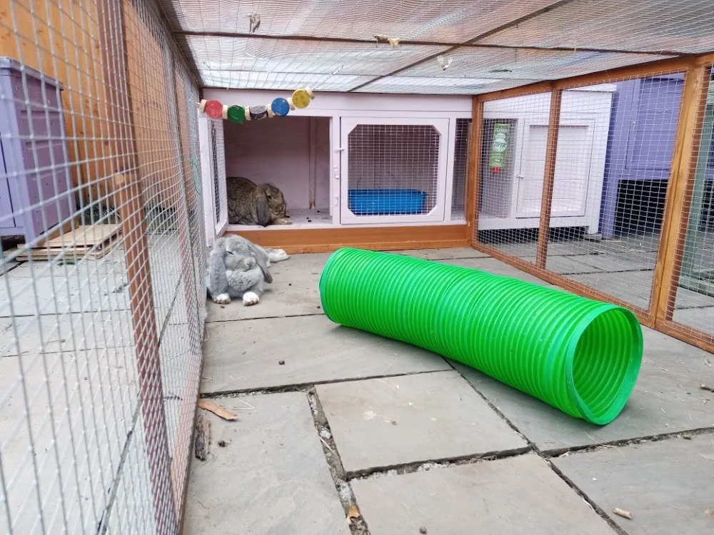Hoppys Hotel Small Animal Boarding - Swansea pet otel görseli 3