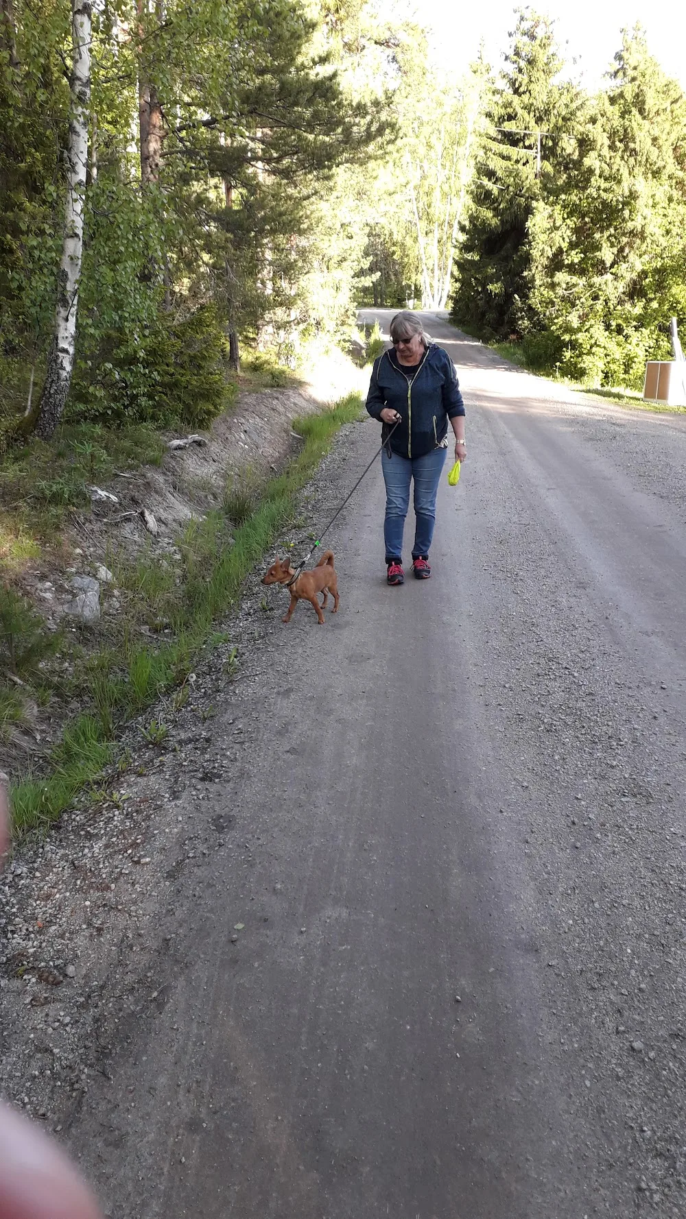 Björkbygdens Kennel - Sweden pet otel görseli 2
