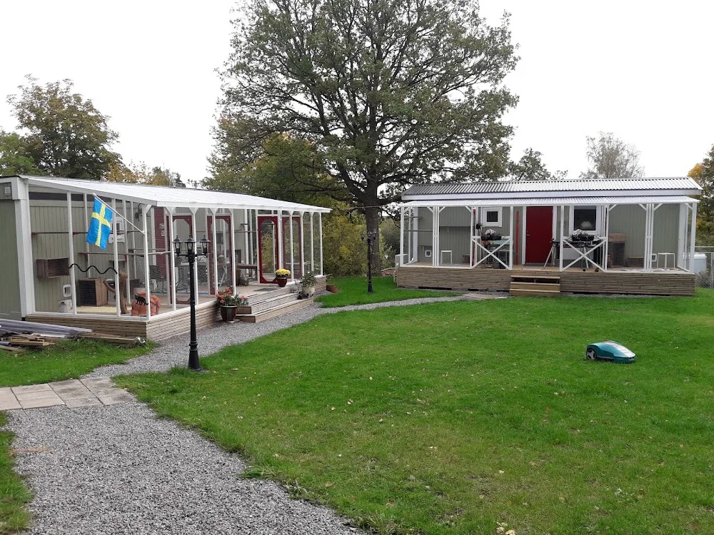 IMA Kattpensionat - Sweden pet otel