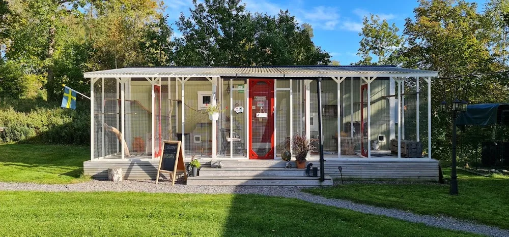 IMA Kattpensionat - Sweden pet otel görseli 3