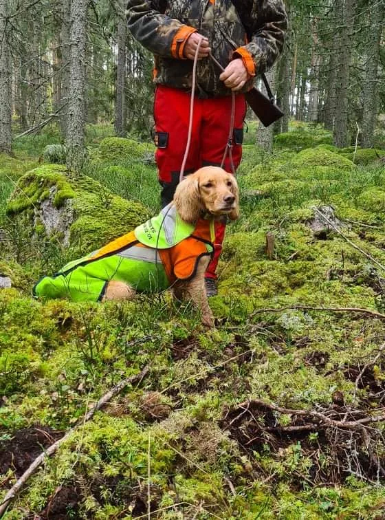 Jimcas kennel - Sweden pet otel