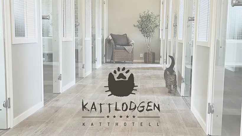 Kattlodgen - Sweden pet otel görseli 2