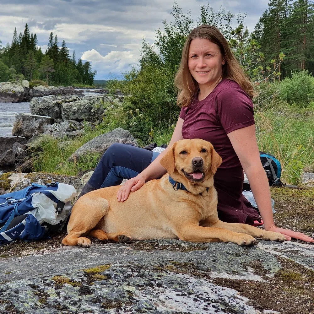 Kattlodgen - Sweden pet otel görseli 5