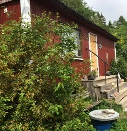 Ombergs lilla Katthotell - Sweden pet otel görseli 2