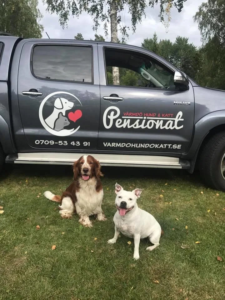 Värmdö hund- och kattpensionat - Sweden pet otel görseli 3