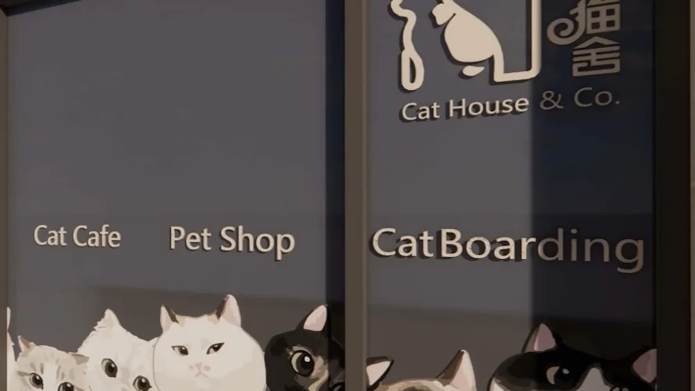 Cat House & Co - Sydney pet otel görseli 2