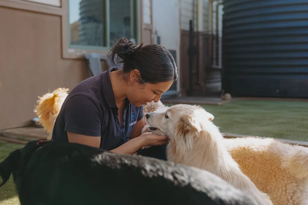Hanrob Pet Hotel Sydney Airport - Sydney pet otel görseli 2