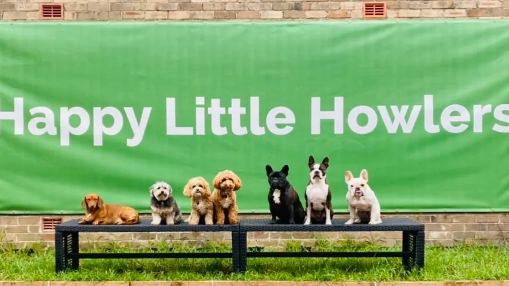 Happy Little Howlers - Sydney pet otel görseli 2