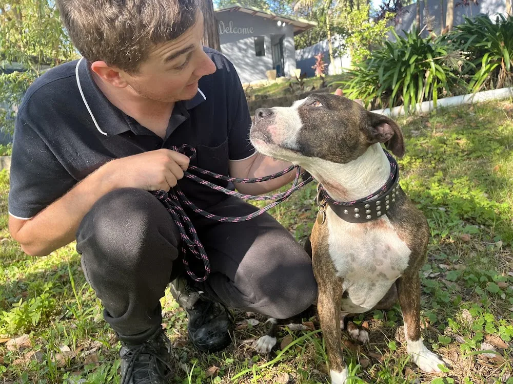 Hills Pet Haven - Sydney pet otel görseli 3