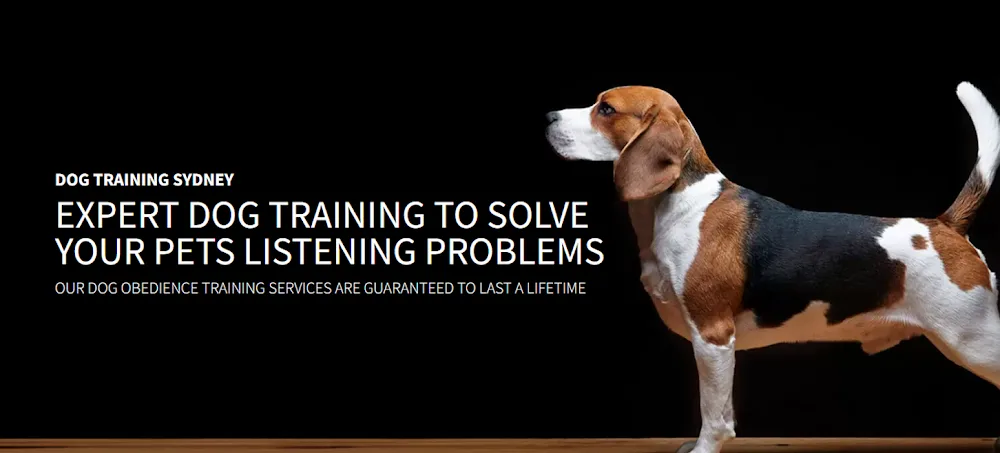 Pets Training & Boarding | Sydney's Premier Pet Boarding Retreat - Sydney pet otel