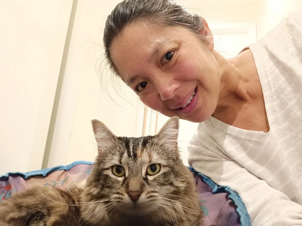 Teddy and Cheeky Cat and Rabbit Boarding - Sydney pet otel