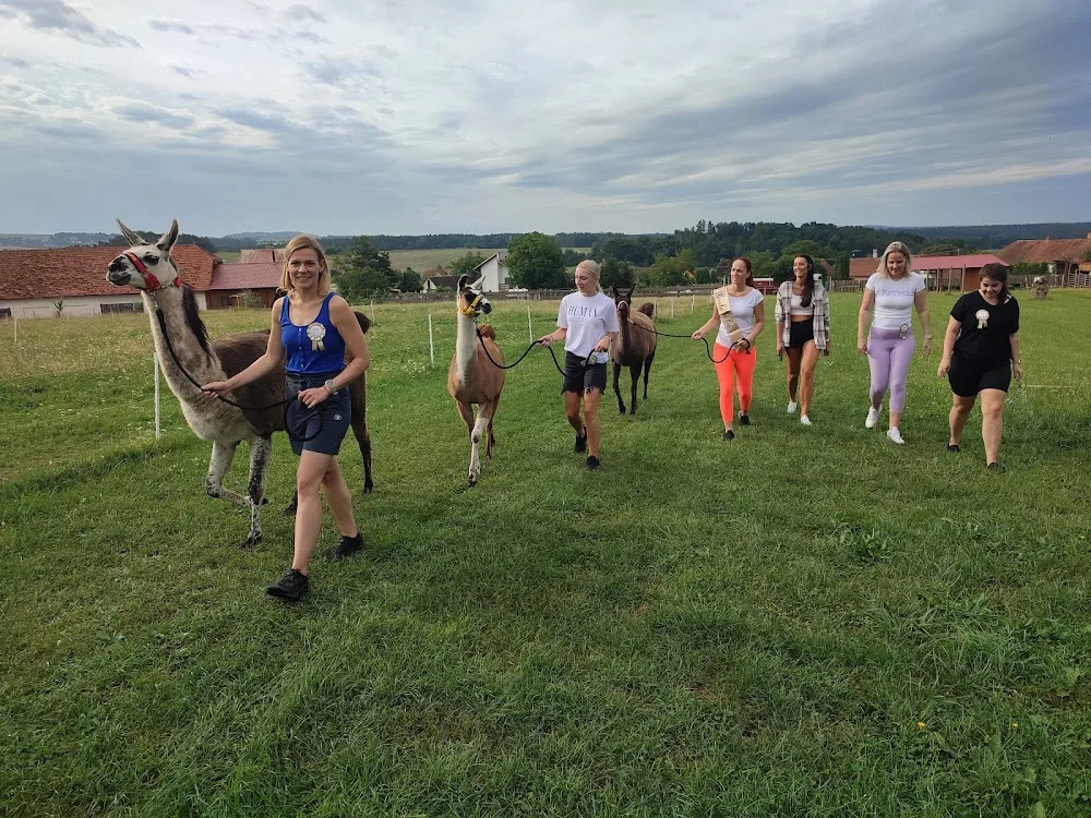Lamafarma - Tábor pet otel görseli 3