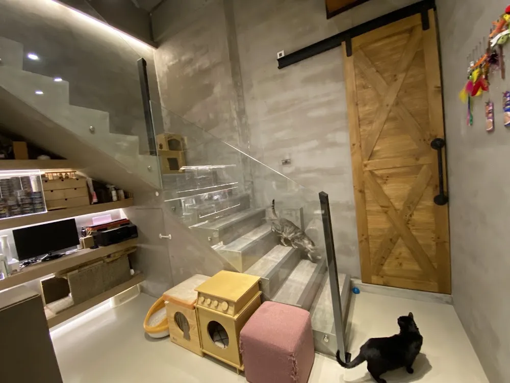 聊聊猫旅馆 - Taiwan pet otel görseli 4
