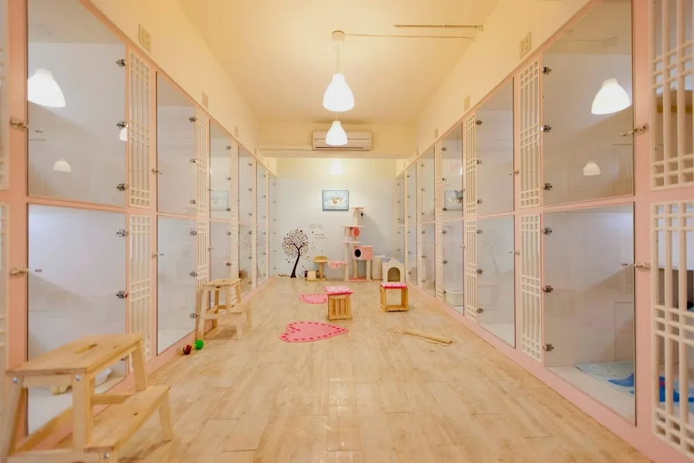 喵喵屋猫咪旅馆 - Taiwan pet otel