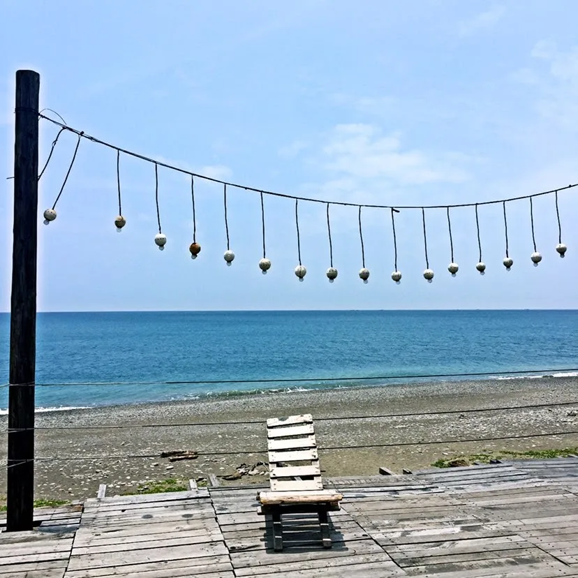 北欧宠物旅馆 游泳馆 - Taiwan pet otel görseli 4