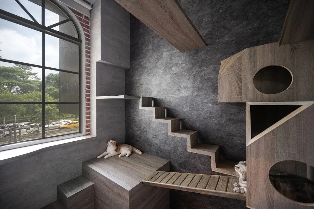 貓森旅-貓旅館Cat Hotel 台北市中心 - Taiwan pet otel görseli 2