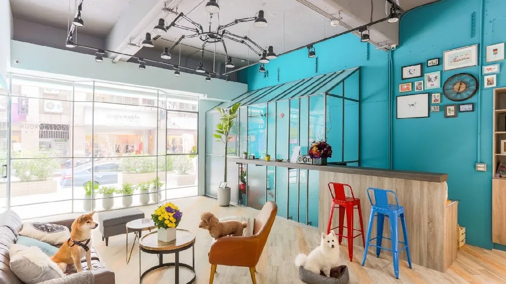小客廳寵物旅館 The Living Room Pet Hotel - Taiwan pet otel