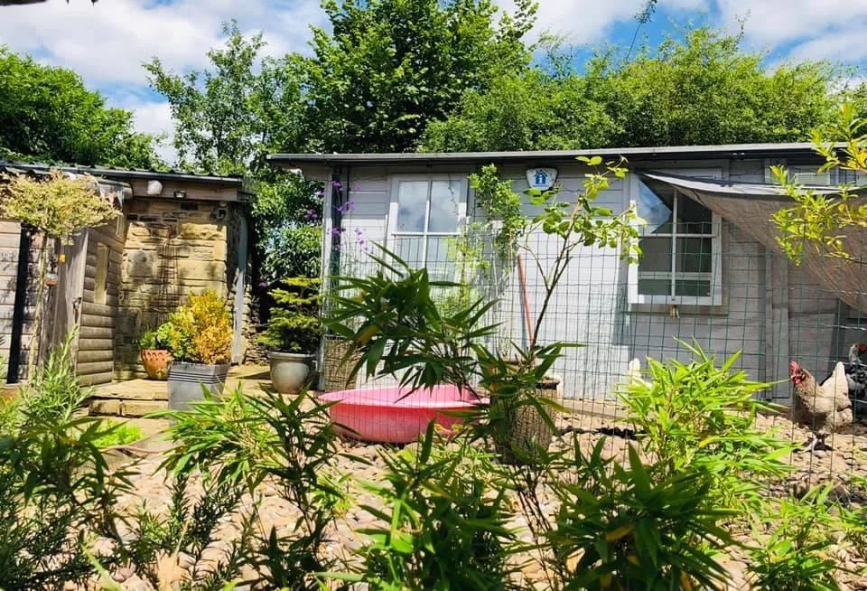 The Little Padfield Cattery - Tameside pet otel
