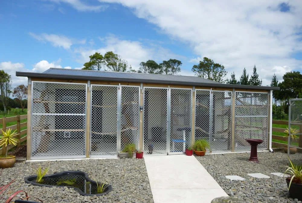 Sentry Hill Cattery - Taranaki pet otel görseli 3