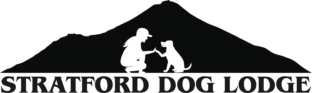 Stratford Dog Lodge - Taranaki pet otel