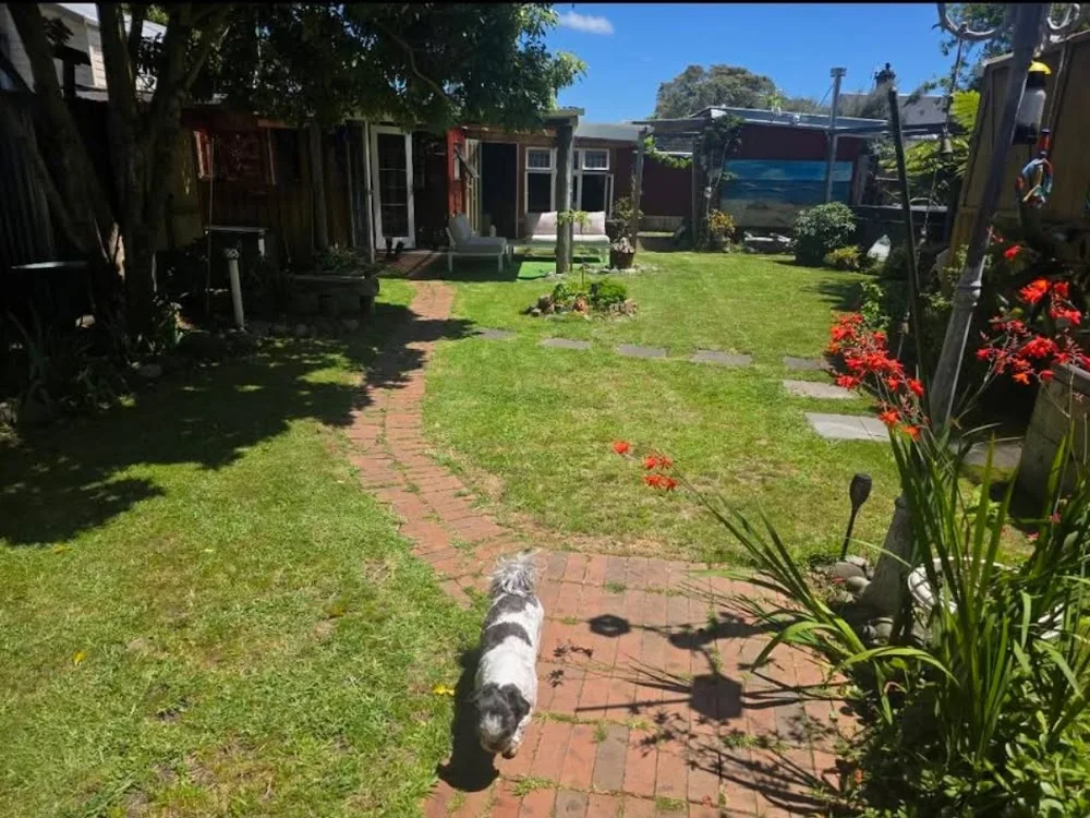 The Tiny Dog House - Taranaki pet otel görseli 2