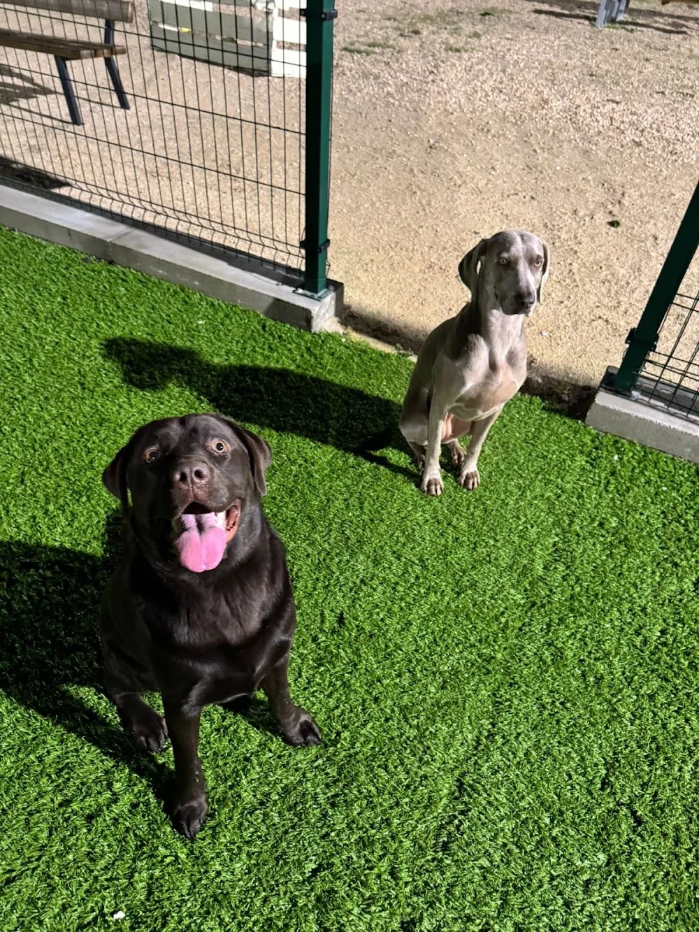DOGGY HOMÆ - Taranto pet otel
