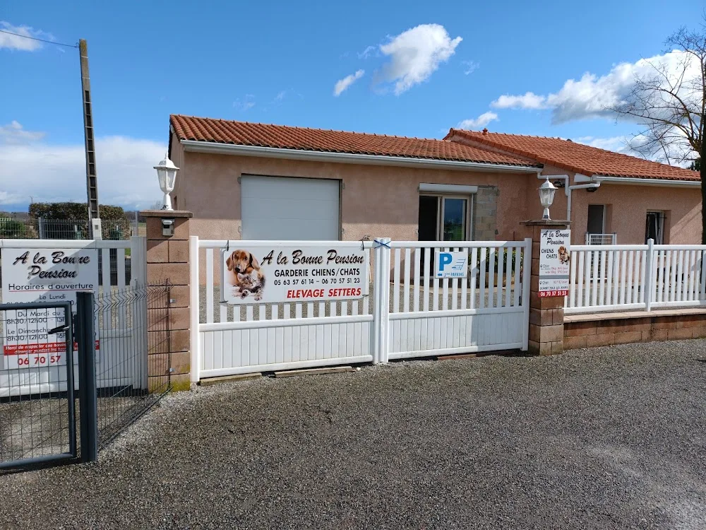 A la bonne pension - Tarn-et-Garonne pet otel