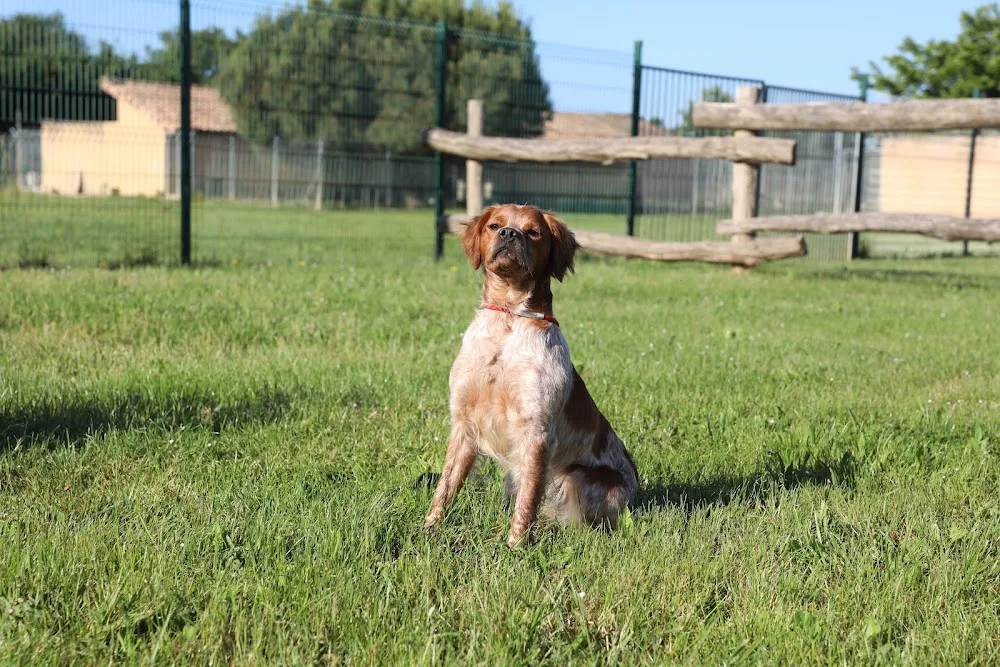 Centre Canin de La Bordette Aucamville - Tarn-et-Garonne pet otel