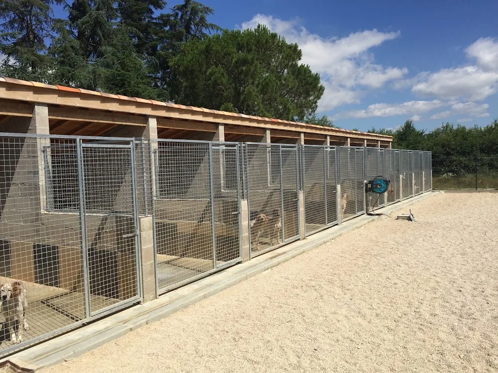 Centre canin des Belles du Causse - Tarn-et-Garonne pet otel görseli 3