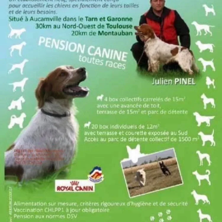 Centre canin des Belles du Causse - Tarn-et-Garonne pet otel görseli 5
