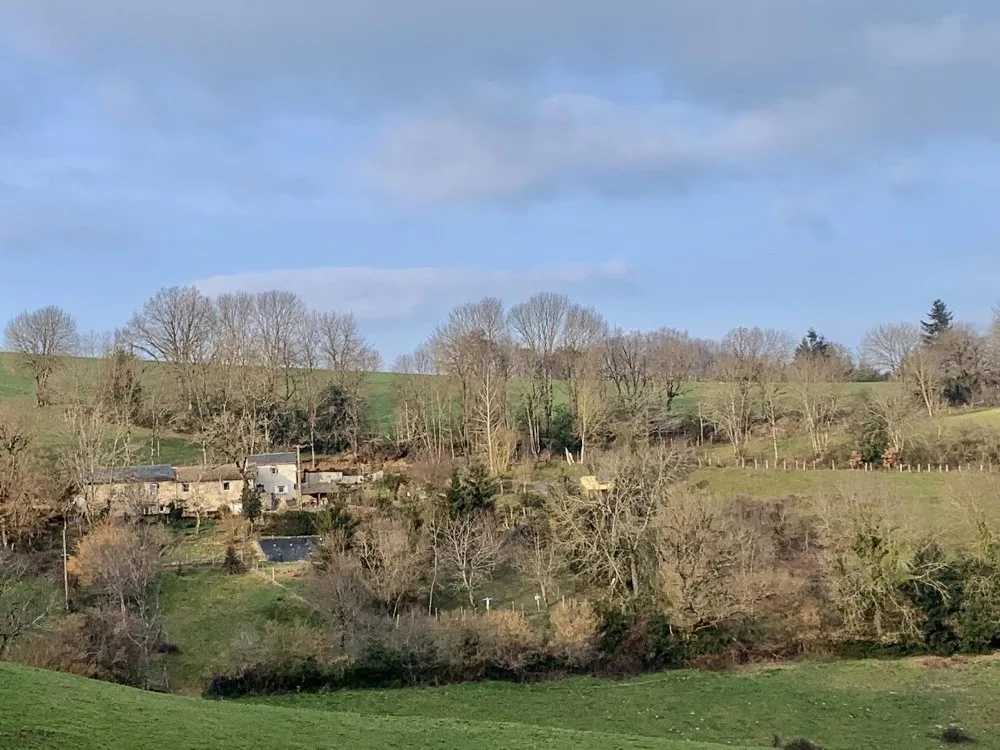 Les Chats des Monts - Tarn pet otel