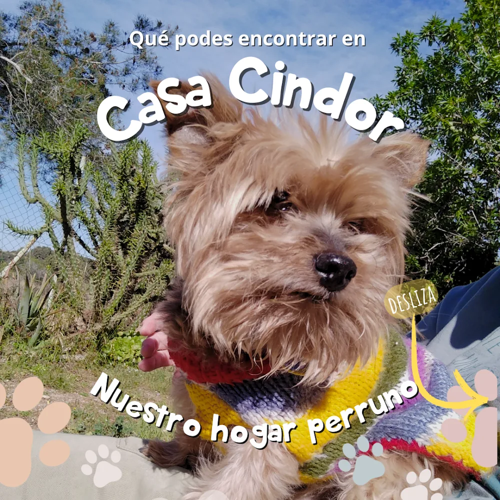 Casa Cindor - Tarragona pet otel görseli 2