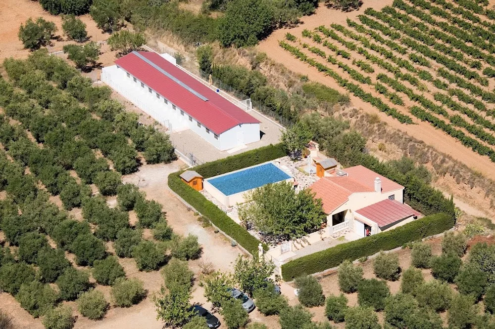 Cotonlier - Tarragona pet otel
