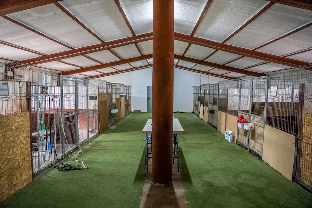 EbreCan. Residència Canina i Ensinistrament - Tarragona pet otel