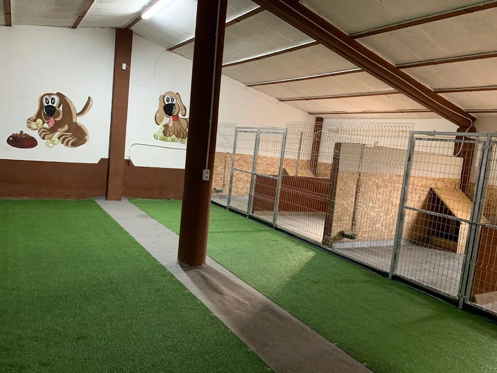 EbreCan. Residència Canina i Ensinistrament - Tarragona pet otel görseli 3