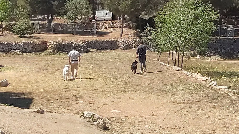 Escola residencia canina Espai Verd - Tarragona pet otel