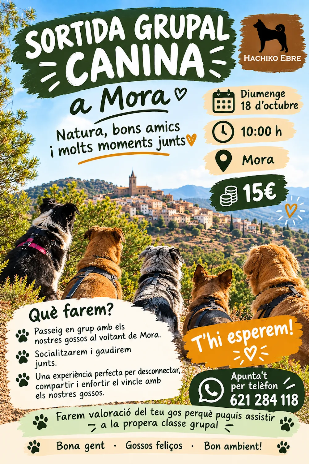Hachiko Ebre - Tarragona pet otel