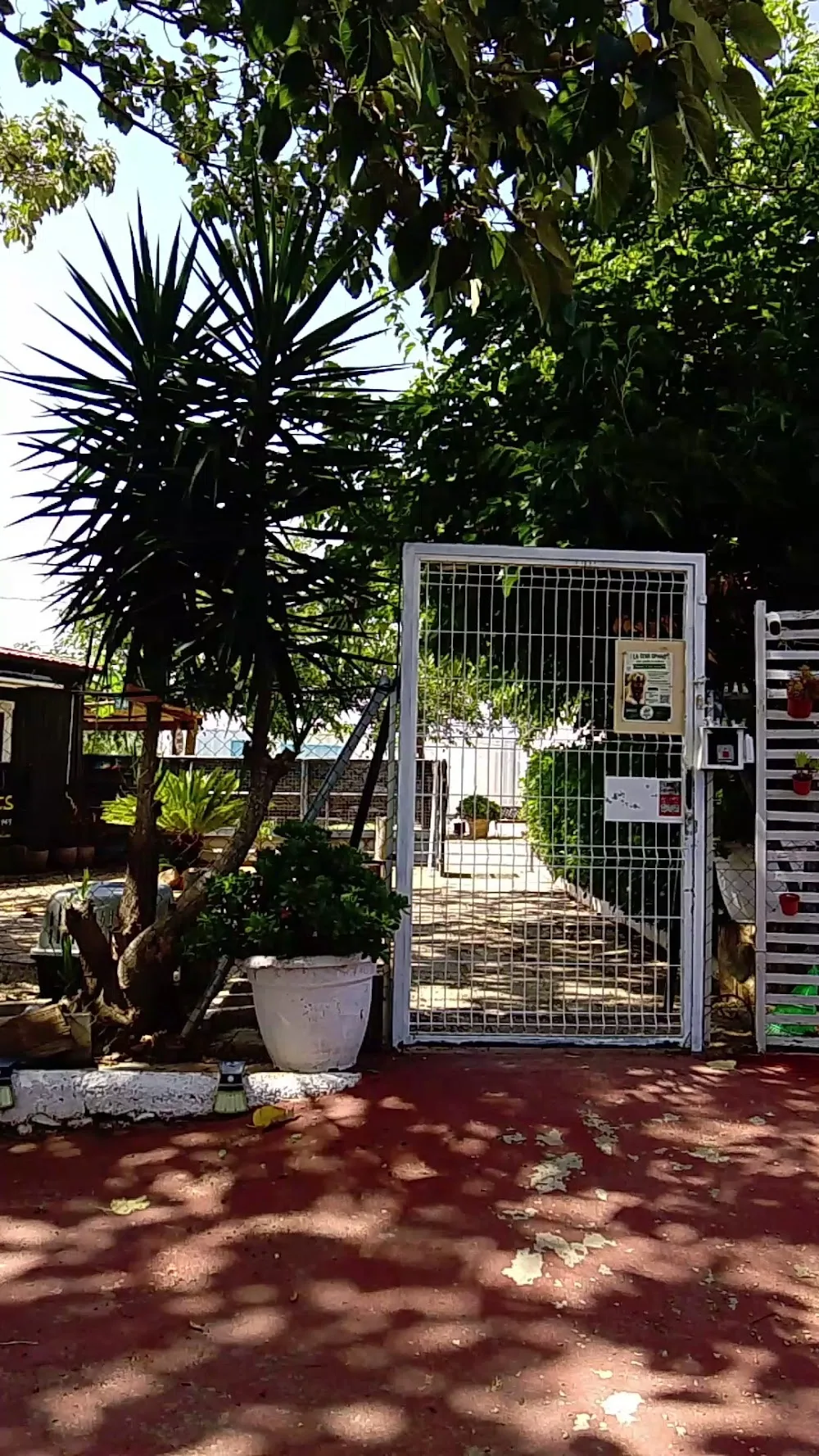Hotel caní Tossuts - Tarragona pet otel