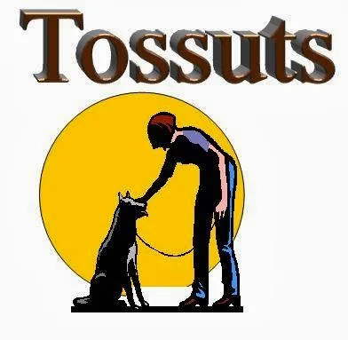 Hotel caní Tossuts - Tarragona pet otel görseli 3