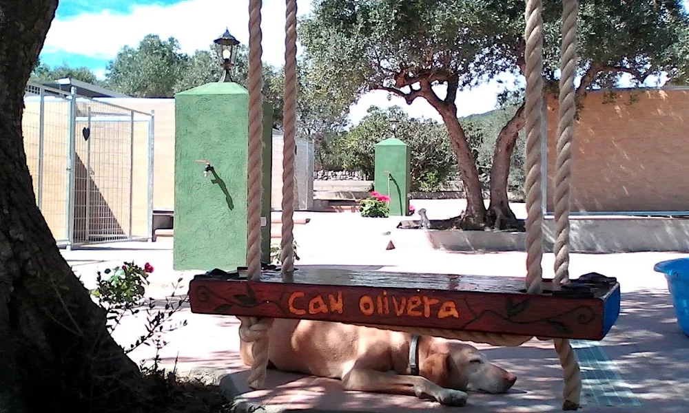Residencia Canina Can Olivera - Tarragona pet otel