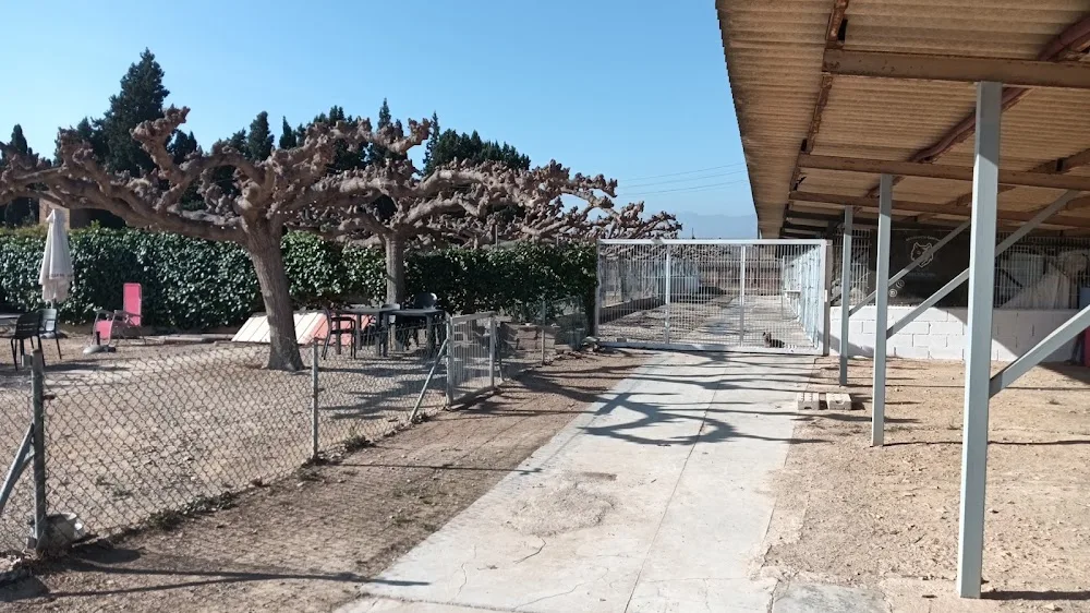 Residència Canina Deltacan - Tarragona pet otel