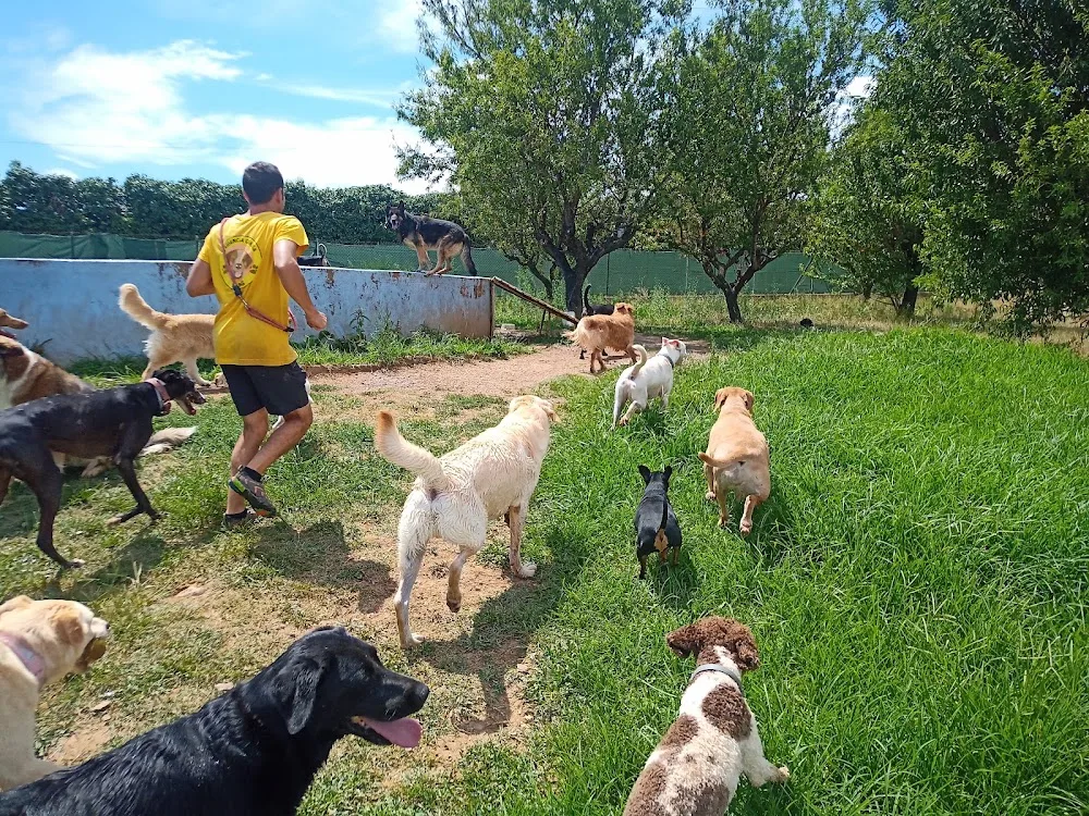 Residencia Canina El Mas - Tarragona pet otel