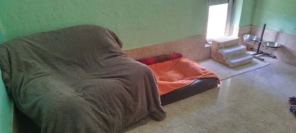 Residencia Canina Filato - Tarragona pet otel görseli 2