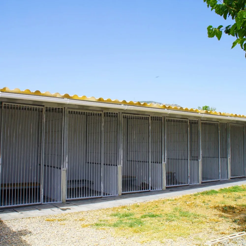Residència Canina Pet Paradise - Tarragona pet otel görseli 2