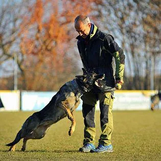Residencia Canina y Adiestramiento Can Brutus - Tarragona pet otel görseli 3